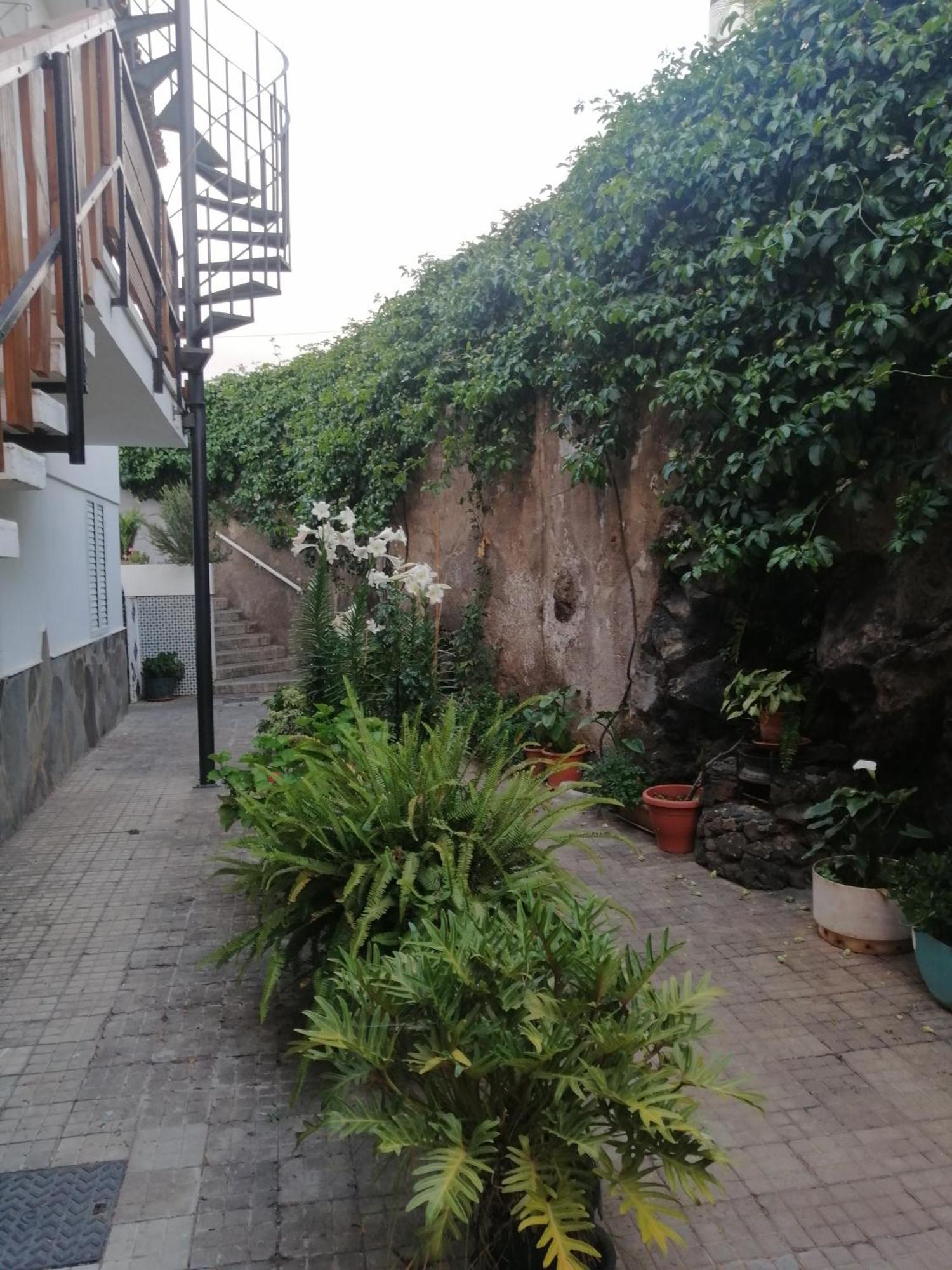 Puerto De La Cruz - Sun House - Holidays - Resort Экстерьер фото